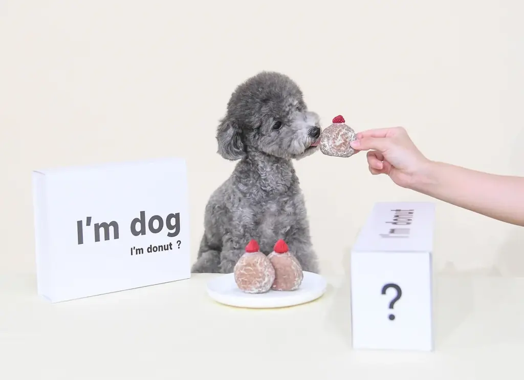 犬の日記念！I’m donut？とココグルメがコラボし、”人と愛犬が一緒に楽しむ”ドーナツが誕生。11/1よりI’m donut？の店舗などで発売します。 画像 2