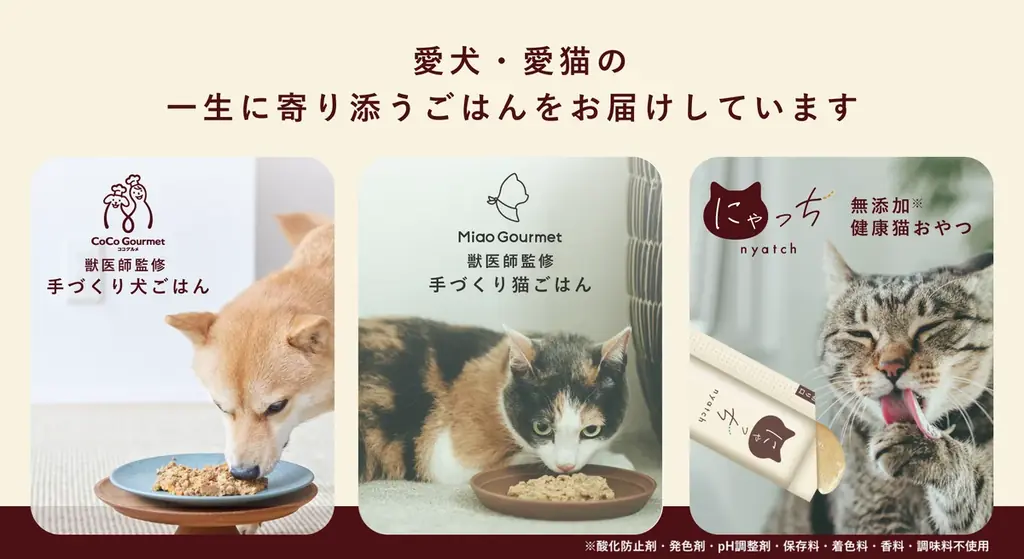 犬の日記念！I’m donut？とココグルメがコラボし、”人と愛犬が一緒に楽しむ”ドーナツが誕生。11/1よりI’m donut？の店舗などで発売します。 画像 4