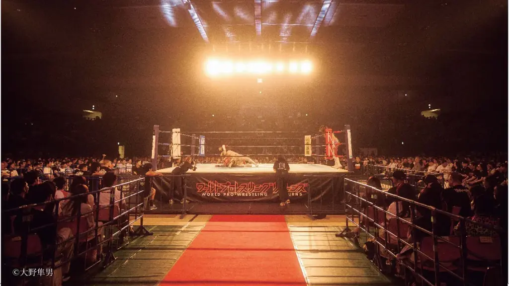 『ACE／100』新日本プロレス　棚橋弘至選手現役最後の写真集　10月23日（木）発売 画像 4