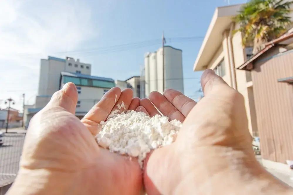 国内随一の小麦フードイベント『麦フェス2025』今年も開催！ 画像 15