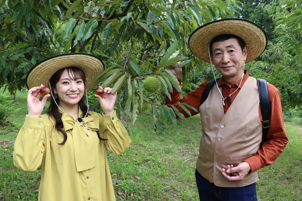 丹波篠山秋の味覚特集