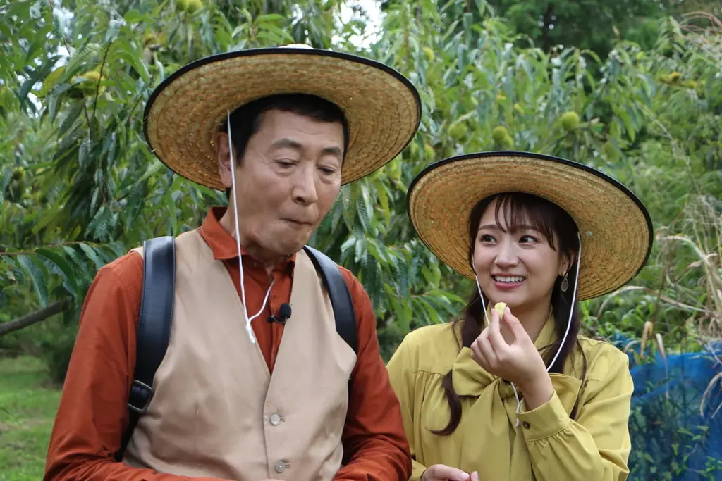 丹波篠山の秋を味わい尽くす！三田村邦彦が栗・黒枝豆・ぼたん鍋に舌鼓『おとな旅あるき旅』 画像 4