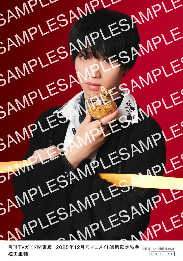 妻夫木聡&目黒蓮が「月刊TVガイド」12月号の表紙に登場！ 作品を通じて育まれた絆を感じさせる、近距離スマイルショットは必見！ 画像 4