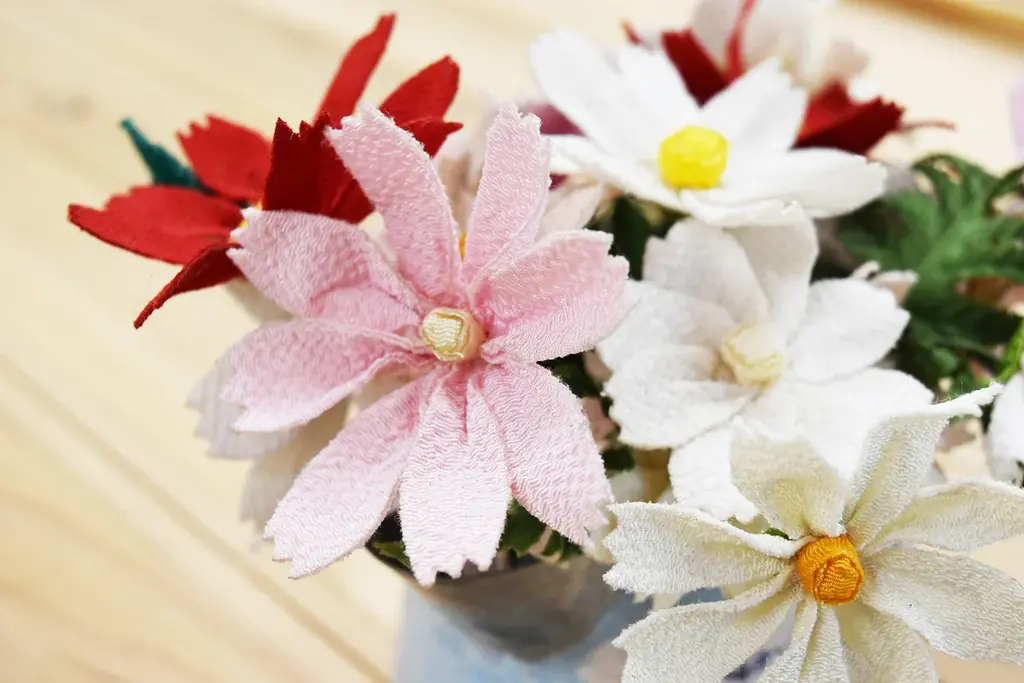 【入園無料】三浦半島最大級！約100万本のコスモス花畑を本日から開園！11月24日（月・祝）まで（横須賀市くりはま花の国） 画像 7