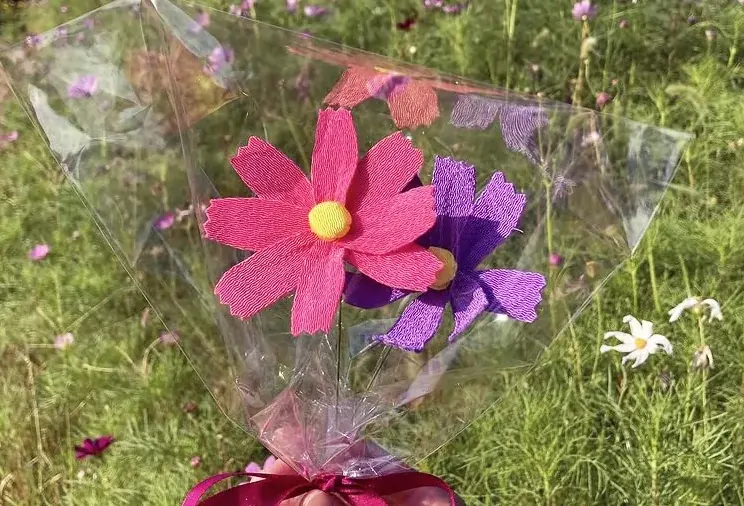 【入園無料】三浦半島最大級！約100万本のコスモス花畑を本日から開園！11月24日（月・祝）まで（横須賀市くりはま花の国） 画像 8