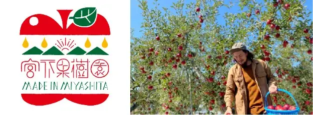 【新規気鋭のパティシエによる年に一度のスイーツの祭典】ufu.fes2025「焼き菓子とパフェ展」鋸山BASE×宮下果樹園コラボレーションクレープ発売！ 画像 10