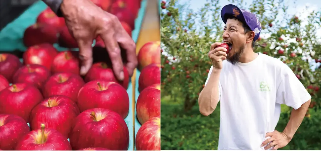 【新規気鋭のパティシエによる年に一度のスイーツの祭典】ufu.fes2025「焼き菓子とパフェ展」鋸山BASE×宮下果樹園コラボレーションクレープ発売！ 画像 5
