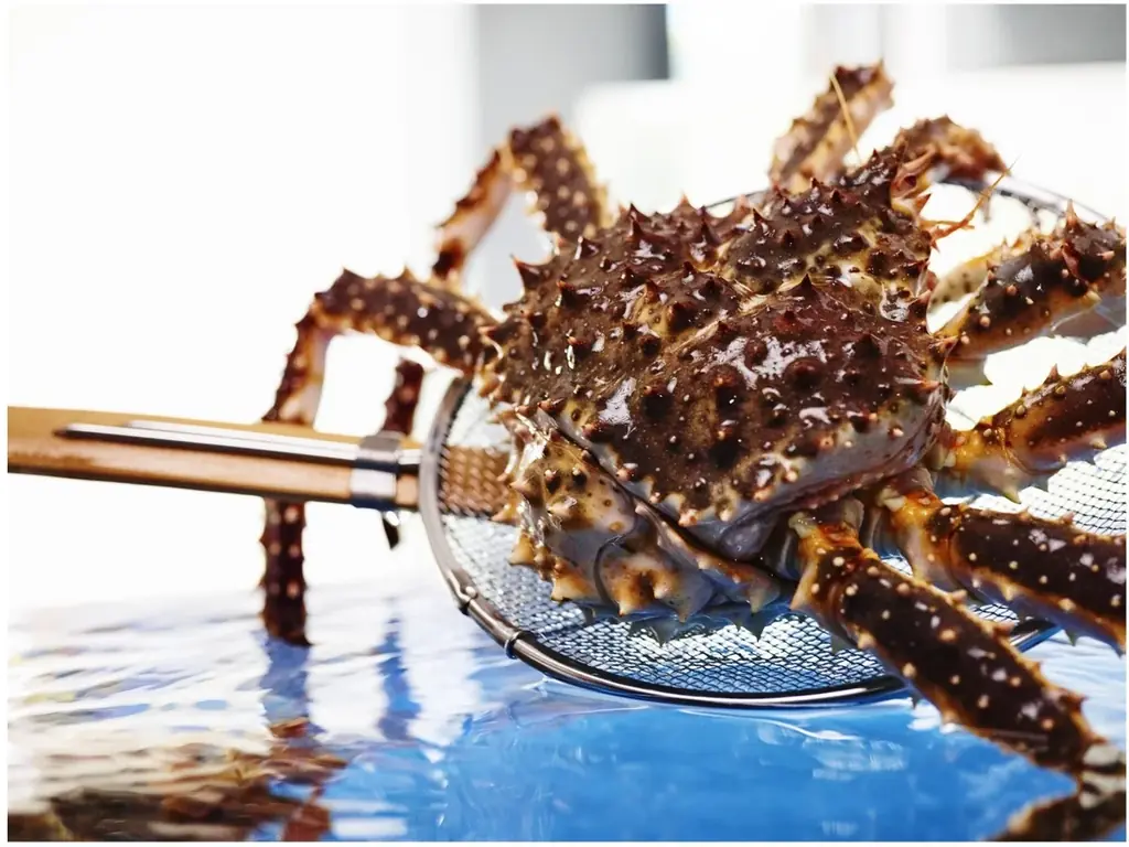 かに漁解禁記念！様々なフェアで旬を楽しむ1ヶ月！かにのシーズン到来！甲羅本店の「新 “旬” 感謝祭」 画像 2