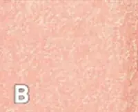 物語の世界感にインスパイアされた限定コスメが登場！「マリークワント アリス イン ワンダーランド デザイン コレクション」 画像 5