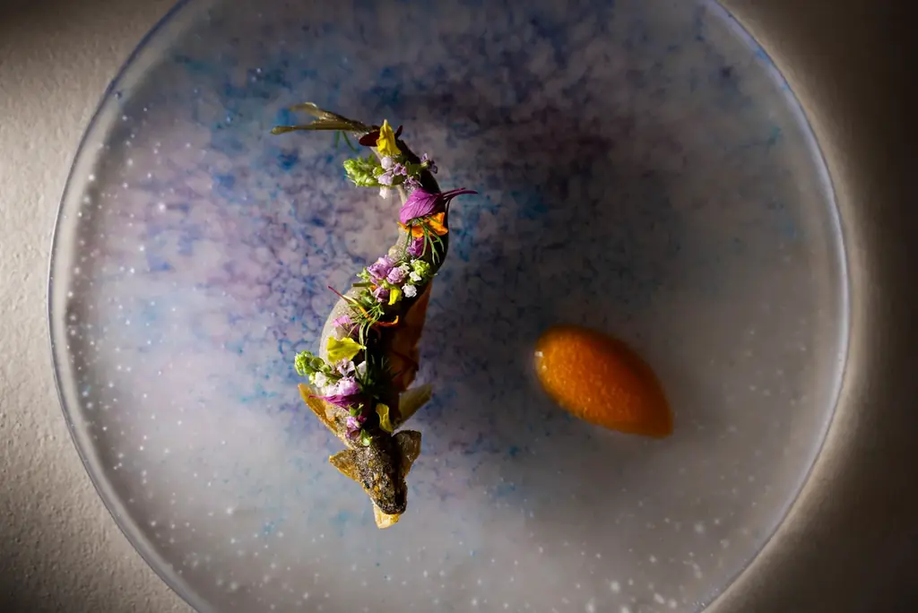 【星野リゾート】2026年にかけて全国7施設が続々開業！「界」「OMO」「リゾナーレ」など各ブランドでの新展開を発表 画像 12