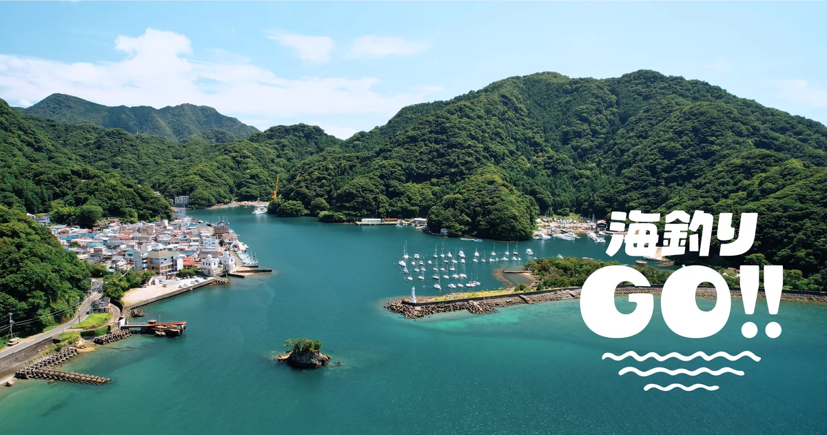 10/30オープン 海釣りGOが安良里漁港で予約制釣り場開始