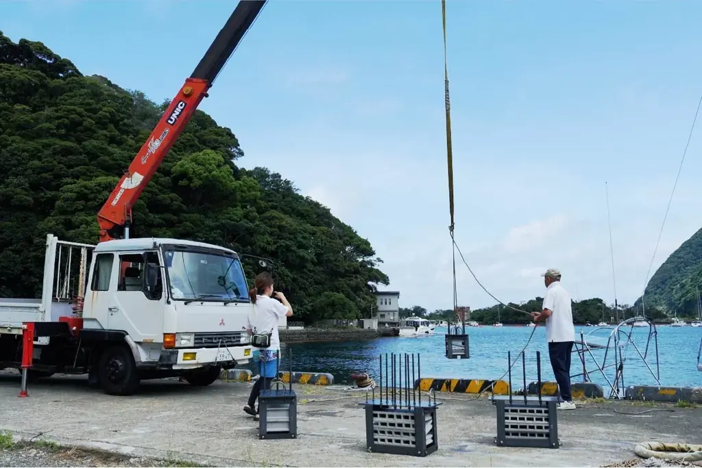 海釣りGO 安良里漁港が10月30日に第一期オープン 画像 13
