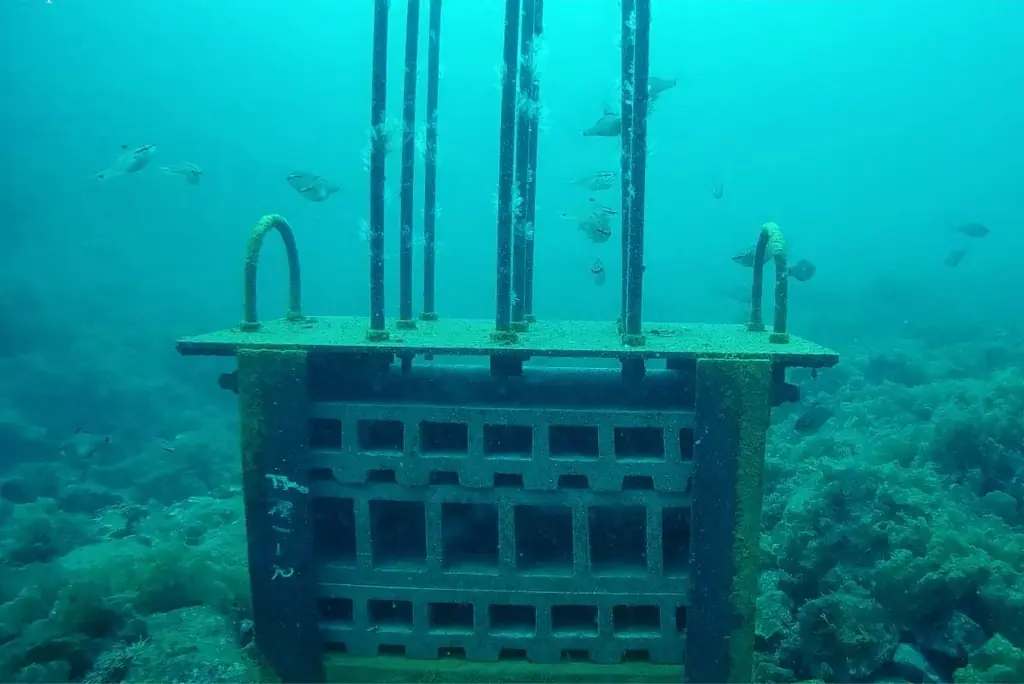 海釣りGO 安良里漁港が10月30日に第一期オープン 画像 14