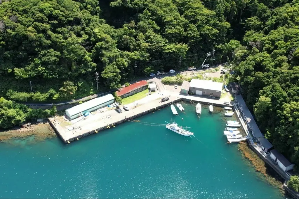 海釣りGO 安良里漁港が10月30日に第一期オープン 画像 4