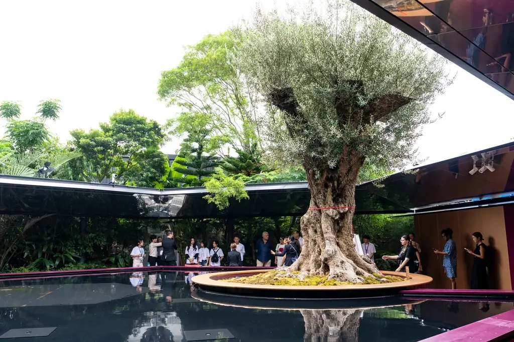 大阪・関西万博2025でギネス世界記録™ を生んだ《フランス館の千寿オリーブ》 ニナファームが入札式オークションを開催 画像 2