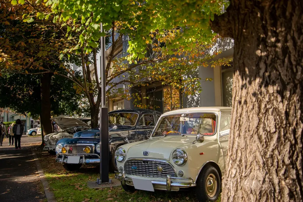 「第18回クラシックカーフェスティバル in 桐生」開催のお知らせ 画像 3