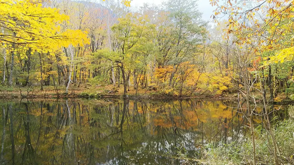 津南醸造は、「紅葉蔵開き2025 ～雪国が染まる秋色の酒時間～ 」を開催します 画像 3