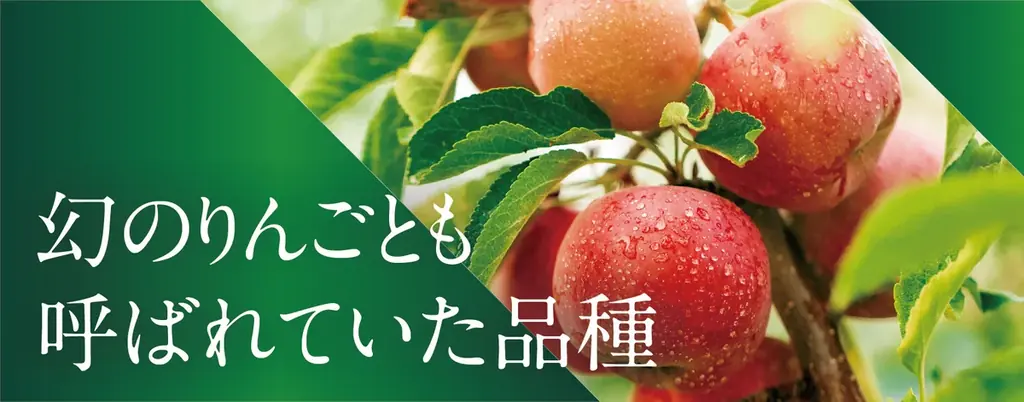 知る人ぞ知る希少品種として再注目！青森県産『こうとくりんご』を数量限定販売 画像 2
