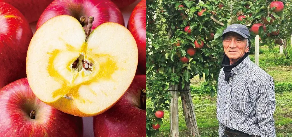 知る人ぞ知る希少品種として再注目！青森県産『こうとくりんご』を数量限定販売 画像 3