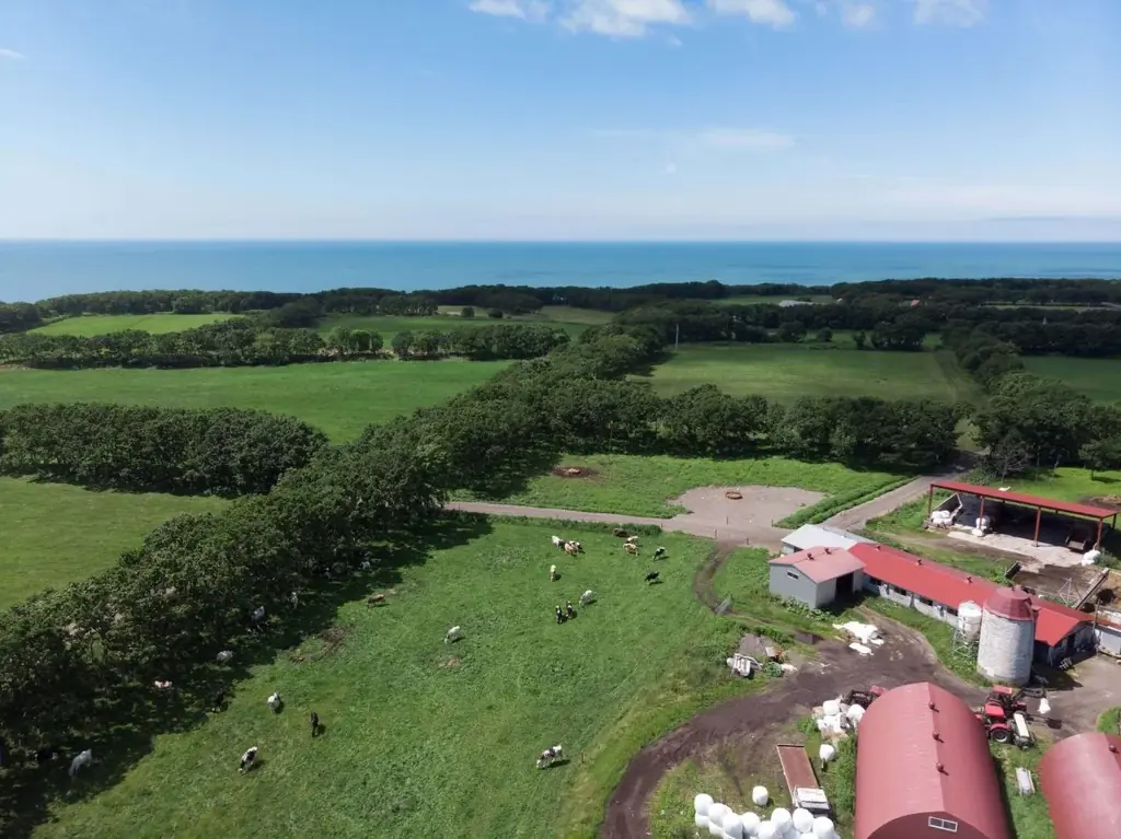 北海道発・冬季限定スイーツ「ＳＮＯＷＳ」 11月1日～札幌市のふるさと納税返礼品としての取扱い開始のお知らせ：生トリュフチョコレート「スノーボール」 画像 4