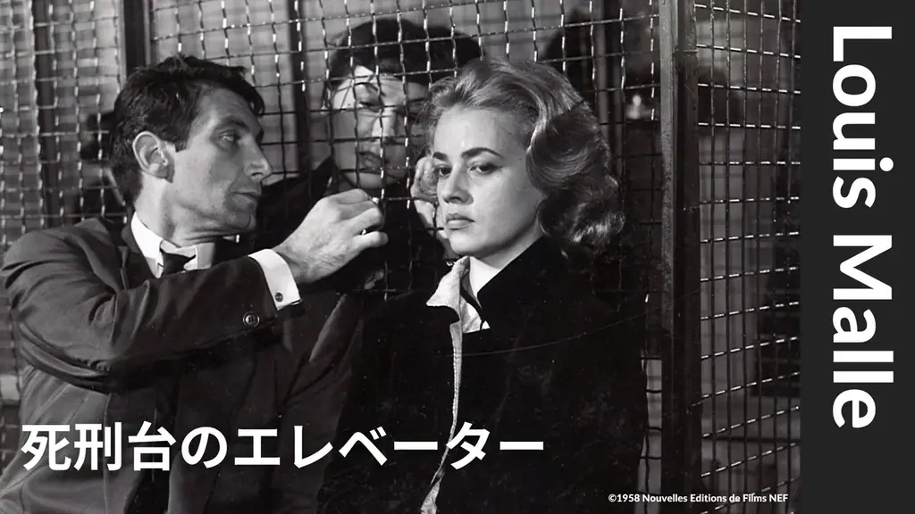 ロマンスを超えた愛を描く希少な4作品を一挙ラインナップ【ザ・シネマメンバーズ：さまざまな愛のゆくえ】 画像 3