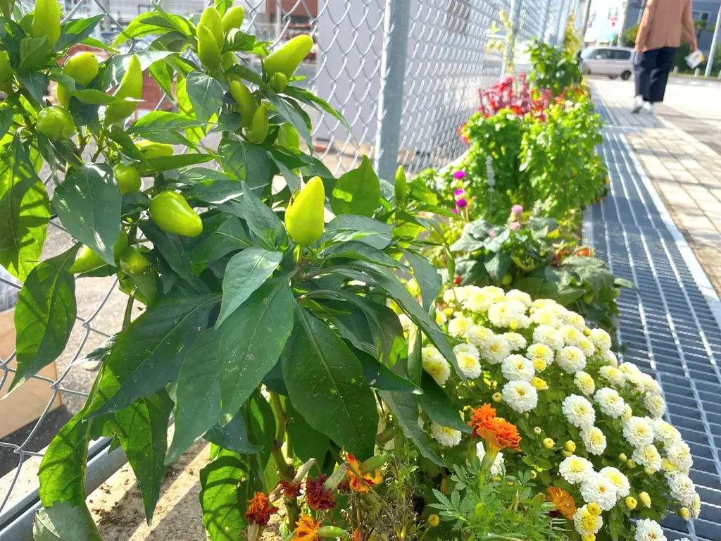 【福岡女子高校コラボイベント】CLUTT ODO広場にてハロウィンイベント「クルハロ」開催！ 画像 3