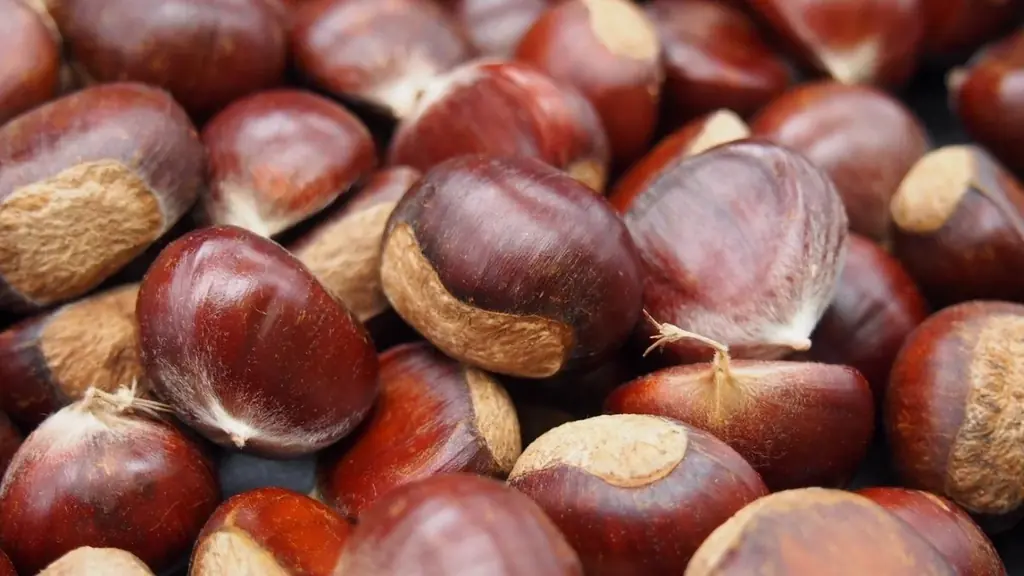 国内流通0.001％の“幻の国産甘栗”を贅沢に使用　長野県発「しなのあまぐりジェラート」Makuakeにてプロジェクト開始 画像 6