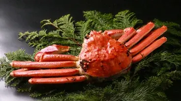 約2,800人が鳥取砂丘を大仮装パレード！AKB48徳永さん・永野さん、ポケモン「サンド」「アローラサンド」、ミャクミャクも登場！「鳥取砂丘ハロウィンパーティーafter EXPO2025」 画像 12