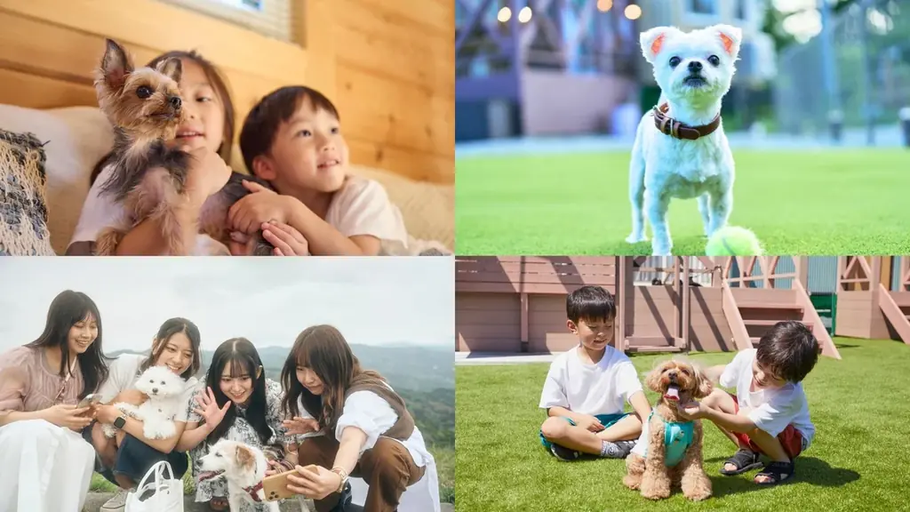 ソラナリゾートが贈る愛犬と楽しめる交流イベント「Fan Fun Day 2025 in Solana木更津」開催決定！ 画像 2