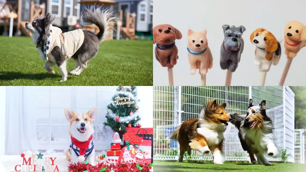 ソラナリゾートが贈る愛犬と楽しめる交流イベント「Fan Fun Day 2025 in Solana木更津」開催決定！ 画像 3