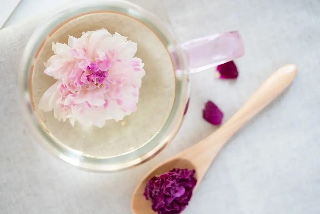 10月29日（水）～11月4日（火）【大丸神戸店】７Fにて期間限定販売。～fuacha～五感で楽しむ花と果実のお茶 画像 4