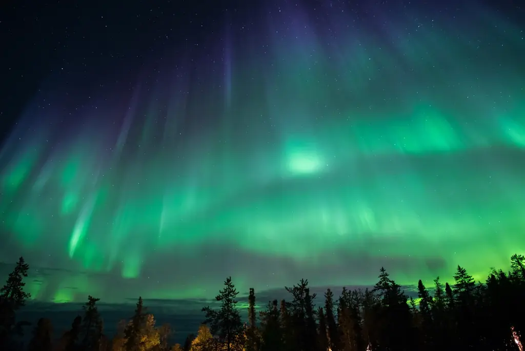 80周年を迎えたムーミン×二子玉川ライズ・ショッピングセンター ムーミンたちのアートや名言と巡る –“とっておき”を見つける冒険–「HAPPY FINDING」 画像 5