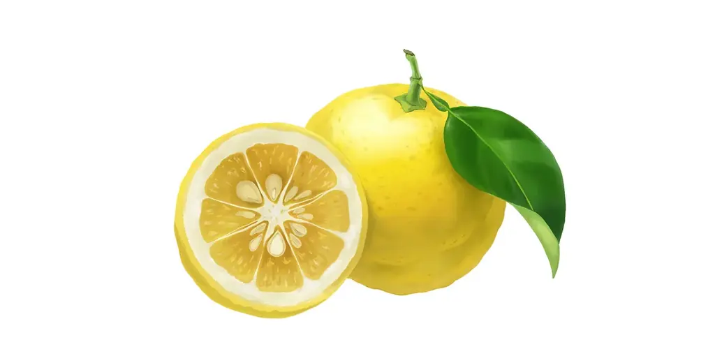 MARKS&WEB（マークスアンドウェブ）から季節限定「ユズ/ビワ葉」が登場　高保湿化粧水など全8アイテムを11月1日(土)発売 画像 2