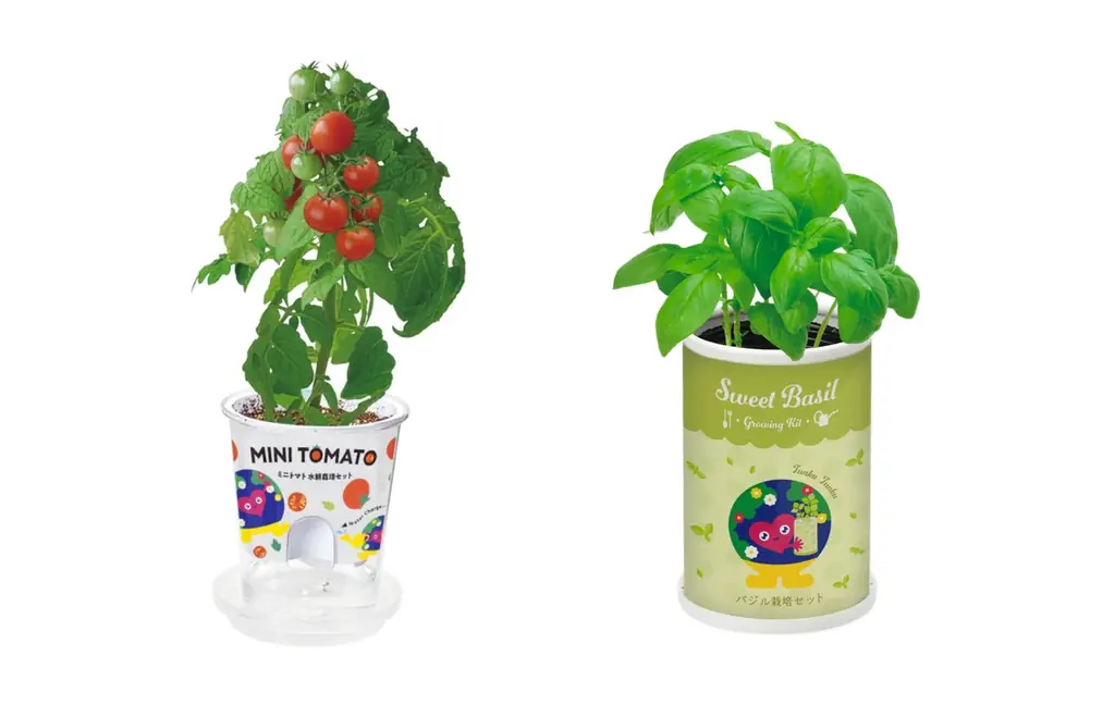 【横浜高島屋】大阪から横浜へ！〈２０２７年国際園芸博覧会〉開催まで500 日を盛り上げる【EXPO 2027 オフィシャルポップアップストア】開催！ 画像 3