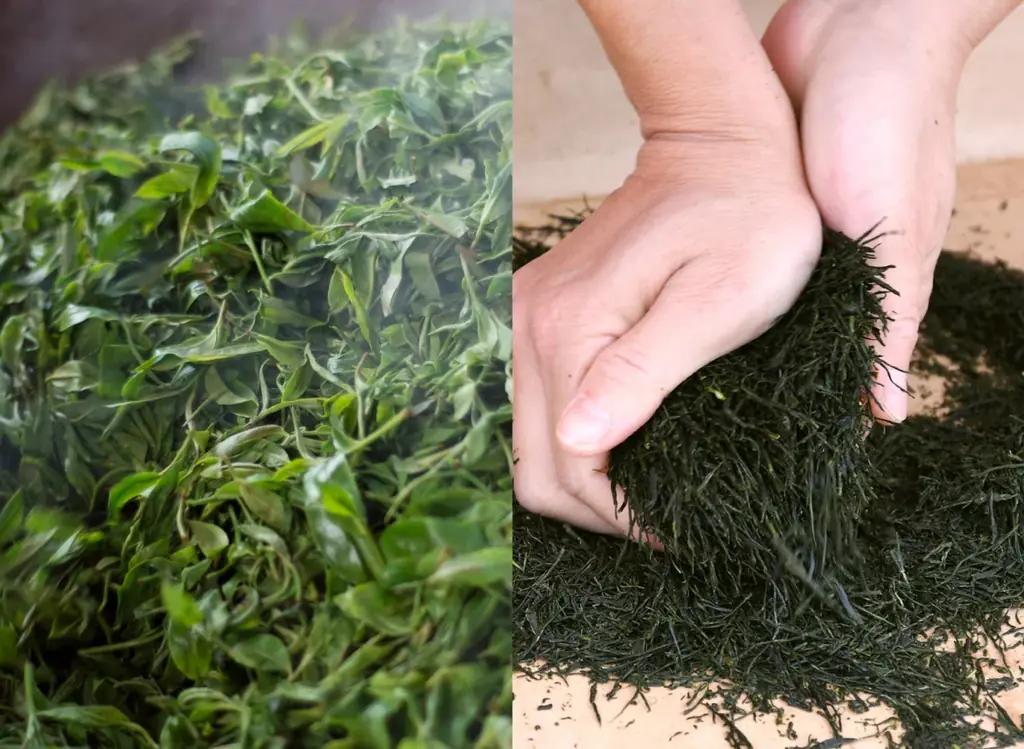 現役の近畿大学大学院生が経営する近畿大学発ベンチャーとハウス食品がコラボ！ハウス食品の「深蒸しバジル」を使用した麻婆豆腐ラーメンをすするか、すすらんか。心斎橋店で期間限定販売 画像 3