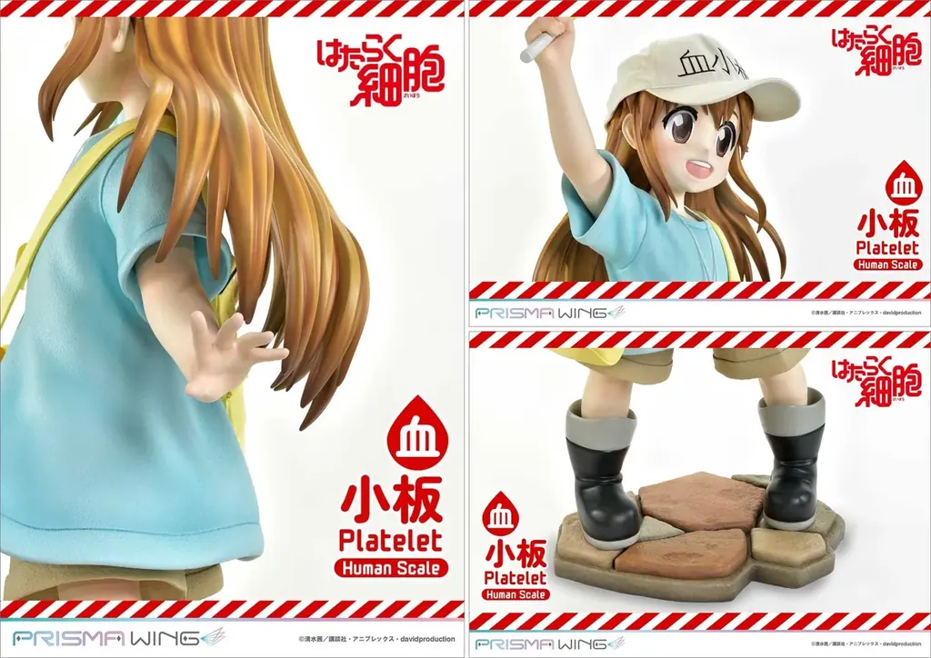 テレビアニメ『はたらく細胞』から、全高100cmの「血小板」フィギュアが登場 画像 6