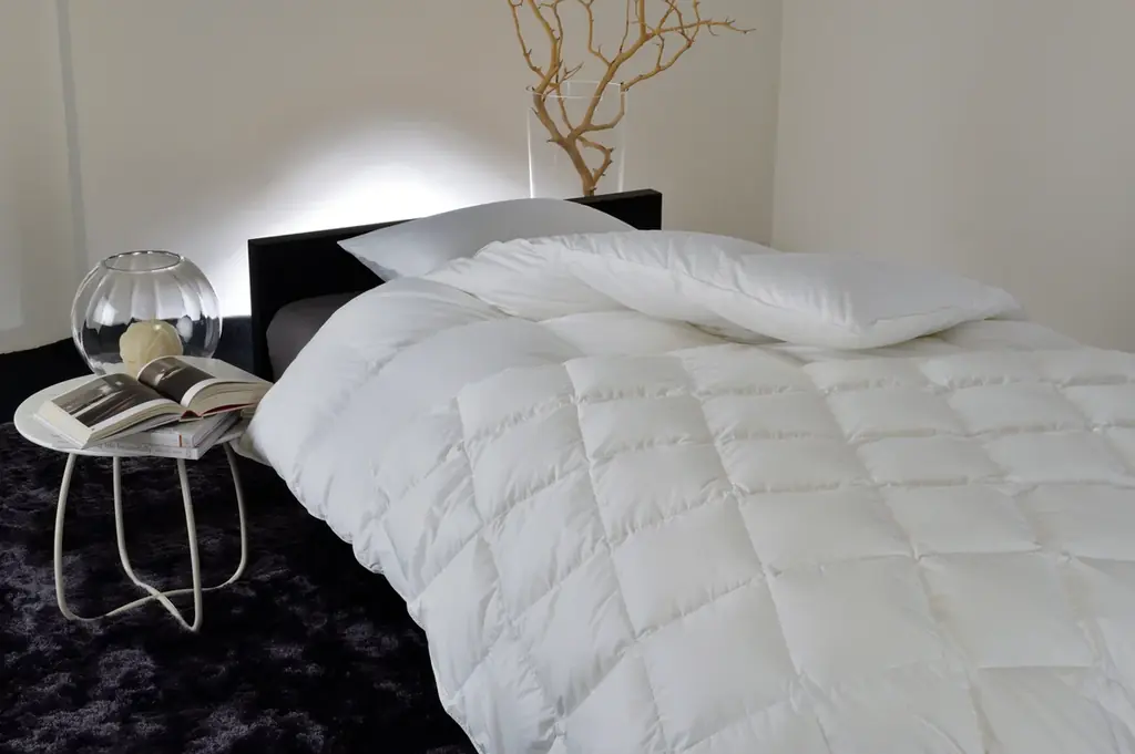 【昭和西川】11月1日（土）より「100年羽毛シリーズ」ご購入特典として＜100年羽毛×TAION®＞オリジナルミニバッグを数量限定プレゼント！ 画像 3