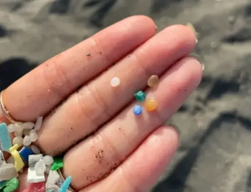 茅ヶ崎発 “マイクロプラスチック問題”をもっと身近に。 観光・環境・地元をめぐる、新しい地域循環プロジェクトを開催。 画像 1