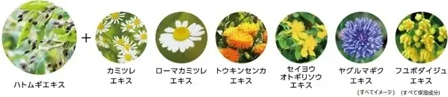 【デビュー50周年「マイメロディ」と初コラボ！】「マジアボタニカ スキンコンディショナー」から2種類の限定コラボパッケージが登場！ 画像 2