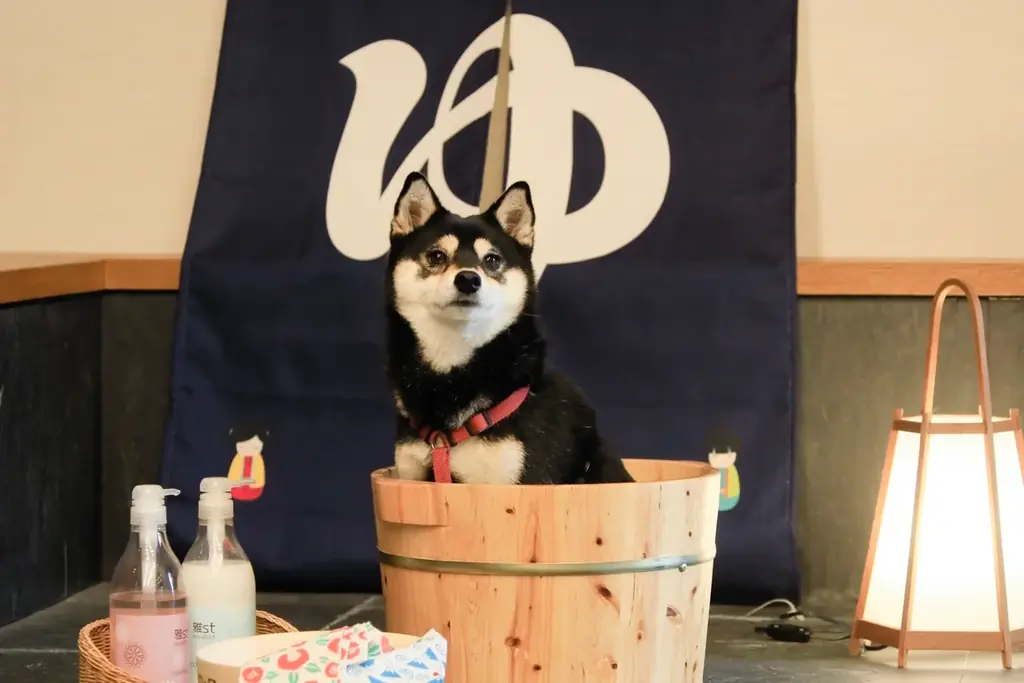 愛犬と一緒に“湯めぐりスタンプラリー”を愉しもう！熱海や箱根含む7施設にてキャンペーン開催｜2025年11月17日～ 画像 5