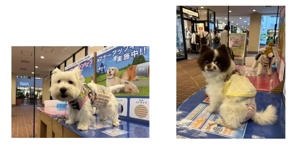 ユニ・チャーム×三井アウトレットパーク×ペットスリー 「GO WITH わんこ プロジェクト」　秋の「マナーアップキャンペーン」を全国5施設で開催 画像 2