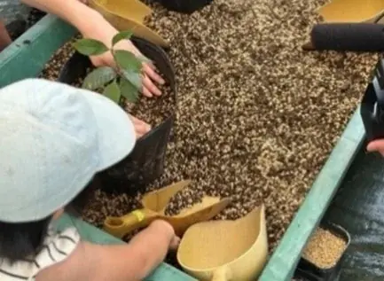 霧島酒造×スターバックス コラボレーションプロジェクトから生まれた施設「KIRISHIMA GREENSHIP icoia 」2026年1月27日(火)オープン！ 画像 6