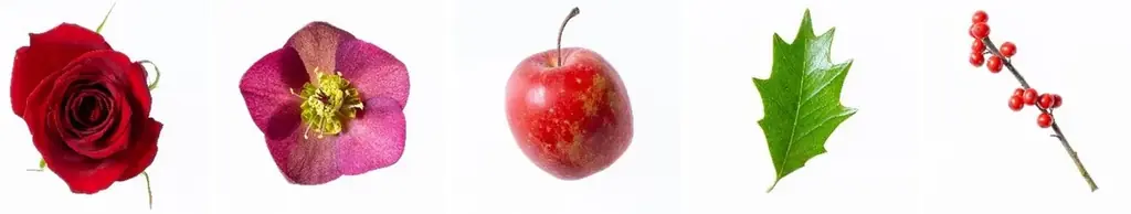 『クリネックス』『スコッティ』ブランドからクリスマスモチーフをデザインしたティシュー、トイレットロールを11月1日より数量限定で発売 画像 5