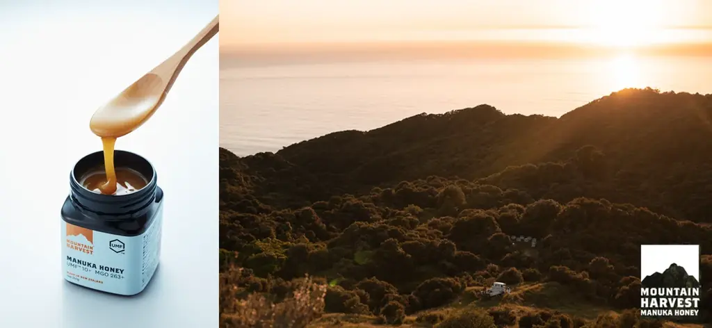【日本初上陸】ニュージーランドの大自然から届く「クラフトマヌカハニー」養蜂歴50年超の養蜂家が生み出す「MOUNTAIN HARVEST」が日本に”初”登場！ 画像 2