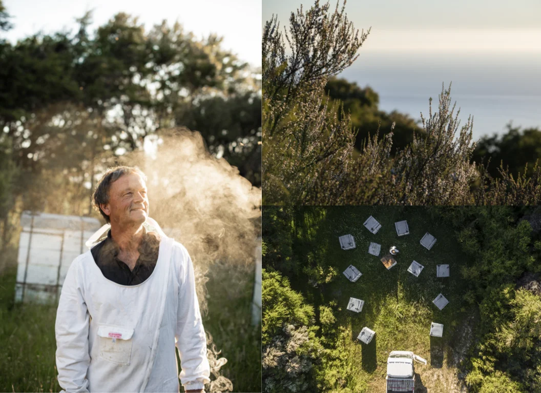 【日本初上陸】ニュージーランドの大自然から届く「クラフトマヌカハニー」養蜂歴50年超の養蜂家が生み出す「MOUNTAIN HARVEST」が日本に”初”登場！ 画像 3