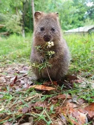 【埼玉県】11月14日は「県民の日」今年も多彩な企画で埼玉の魅力を満喫！ 画像 6