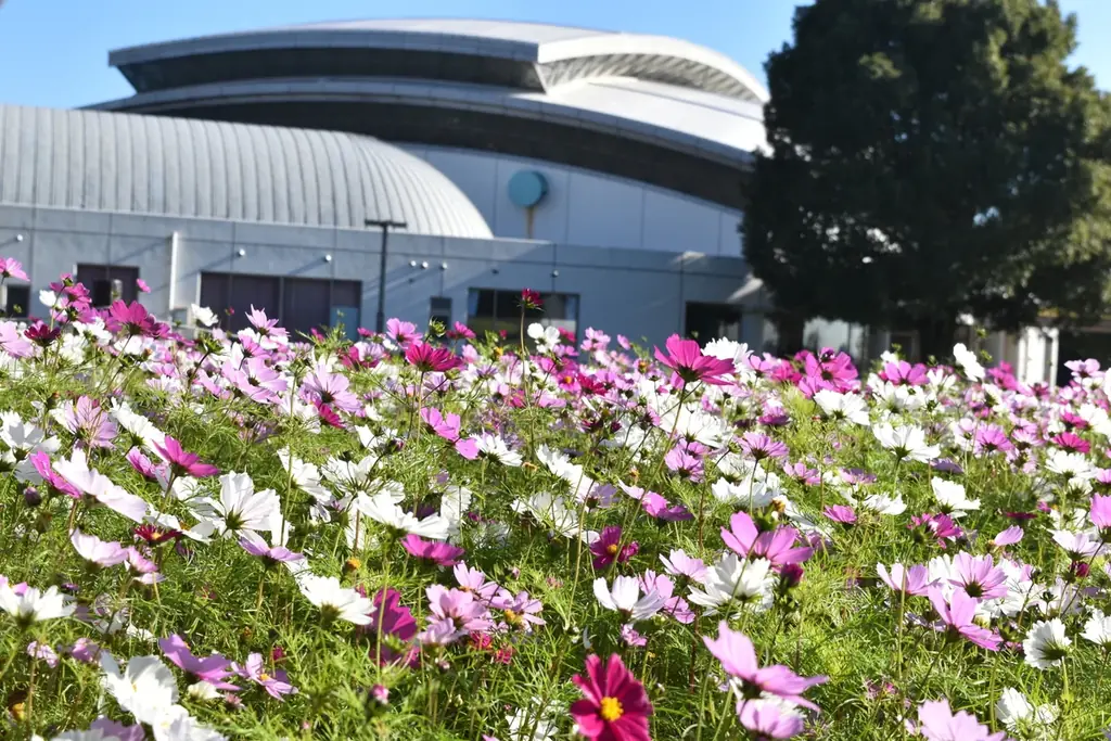 横浜市民の声をもとに公園の「キッズコーナー」を大幅リニューアル！安心・快適性の向上や、地元の子どもたちと一緒に作ったアート装飾も（横浜市清水ケ丘公園） 画像 11