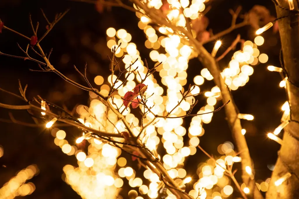 今年のクリスマスは北欧スタイルで！ 画像 6