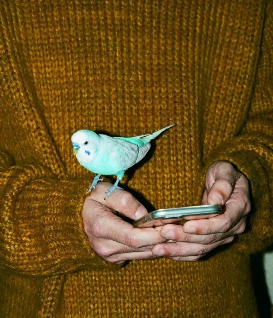 當真あみさん出演の新プロモーションムービーも公開 映画館のスクリーンを活用したアパレルコレクション「SCRE:EN」バックパックやポーチなど、第三弾が発売決定 画像 9