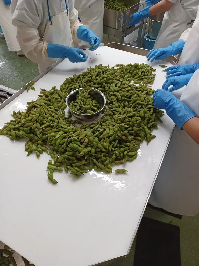 一粒で秋を味わう。兵庫県丹波篠山産の幻の黒枝豆「丹波黒枝豆」11月1日(土)数量限定で販売開始！ 画像 5